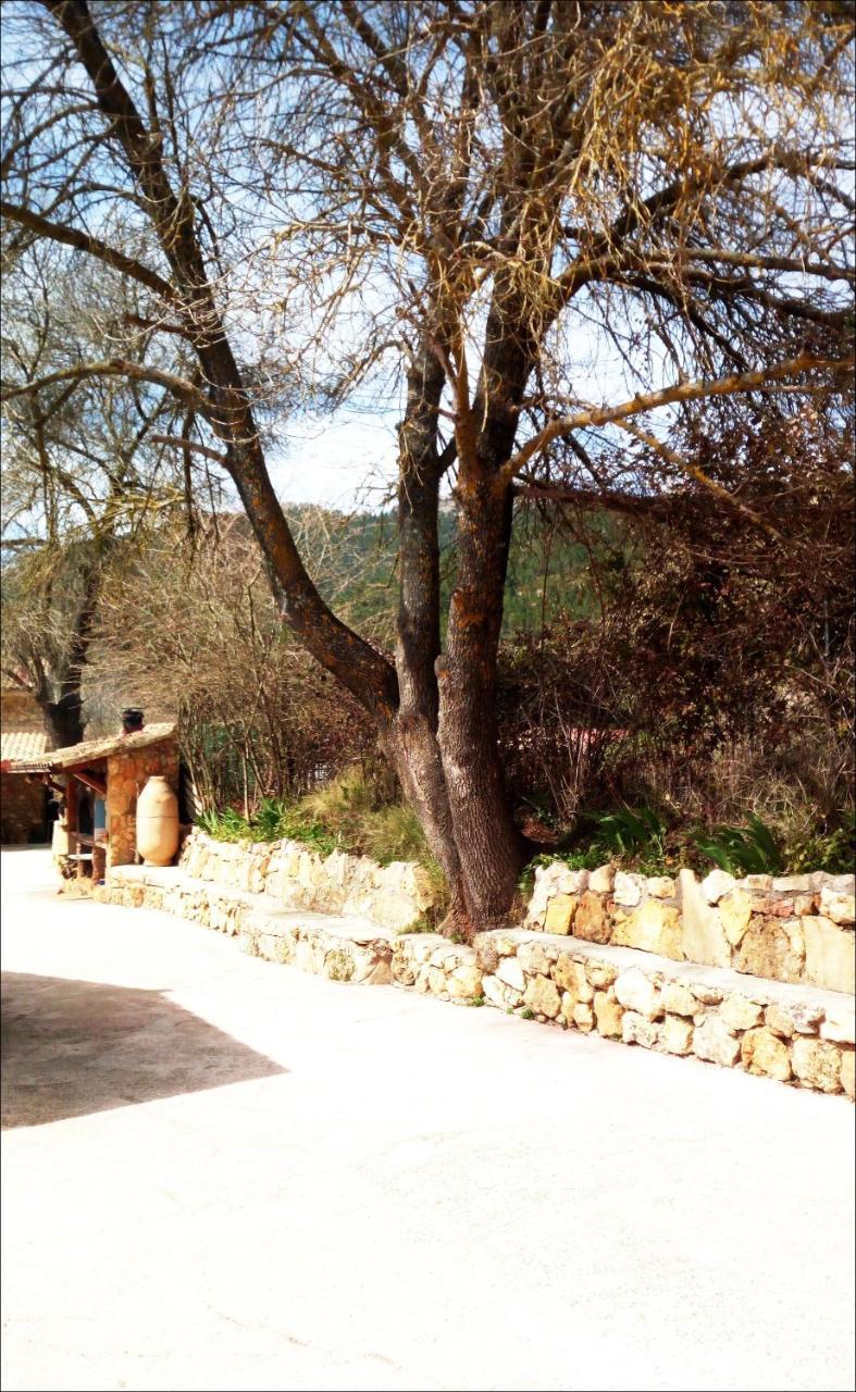 Casas Rurales Picos Del Oso Riópar Exteriör bild