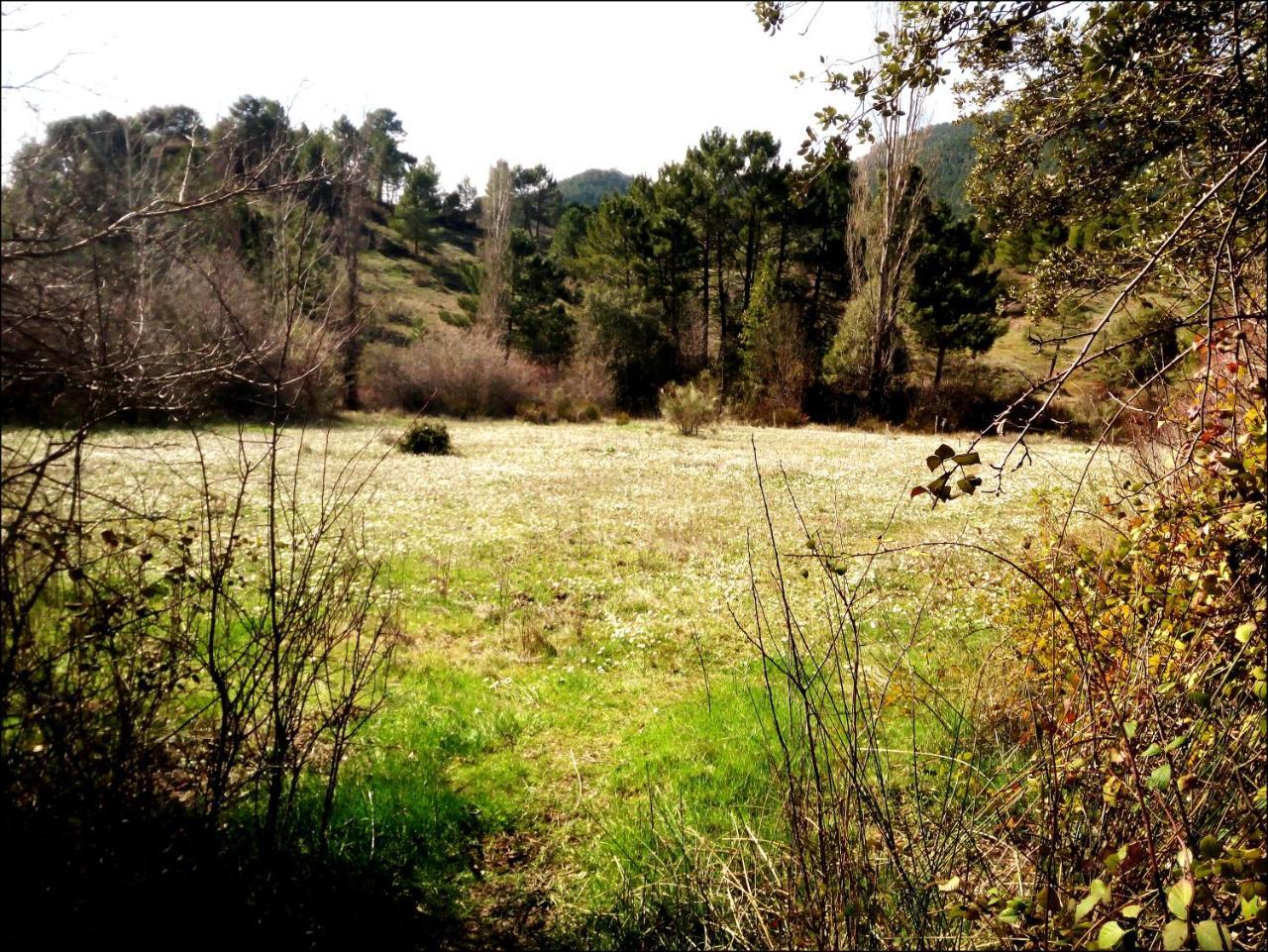 Casas Rurales Picos Del Oso Riópar Exteriör bild