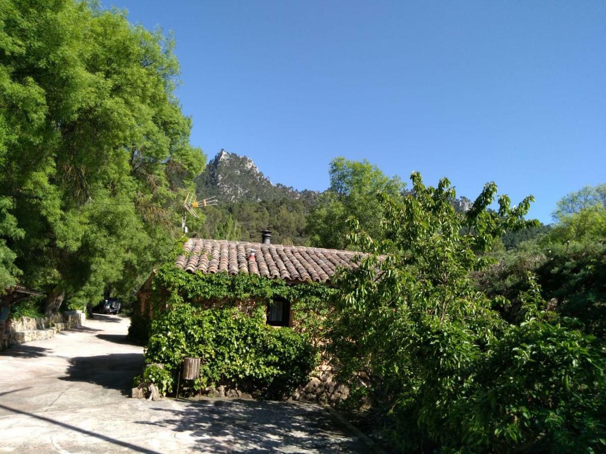 Casas Rurales Picos Del Oso Riópar Exteriör bild
